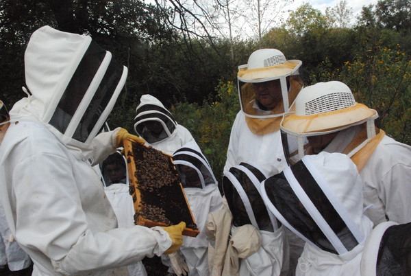 296357628ba670c89b660c235b93815e